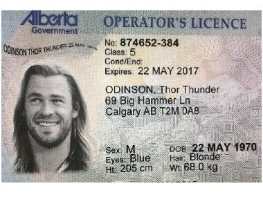 Fake Thor Id